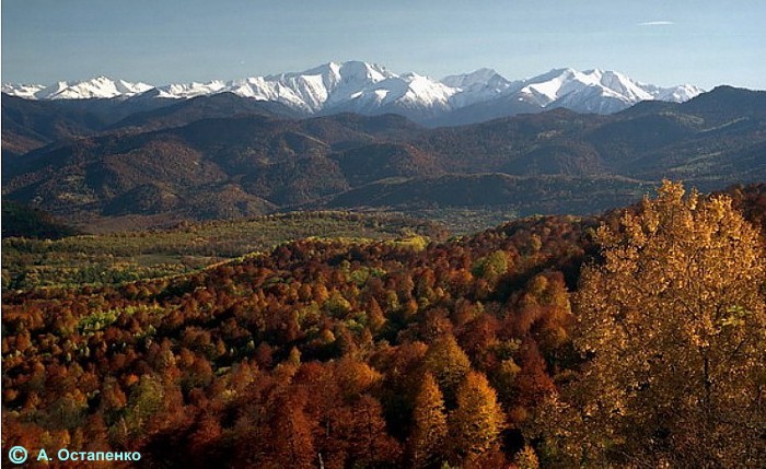        " ".  / View on the alps in the central part of "Western Caucasus" World Heritage. 